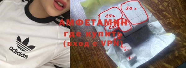 мдпв Ельня