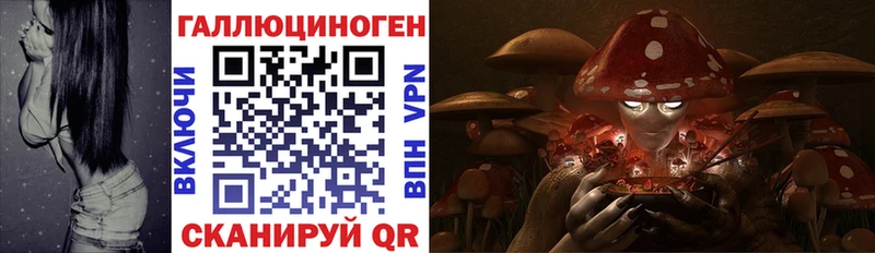 Купить закладки  Каменка  Псилоцибиновые грибы Psilocybe 