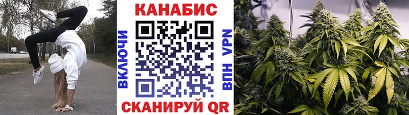 Бошки Шишки планчик  Купить  Каменка 
